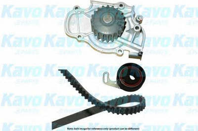 KAVO PARTS dkw2010 -  Водяной насос + комплект зубчатого ремня